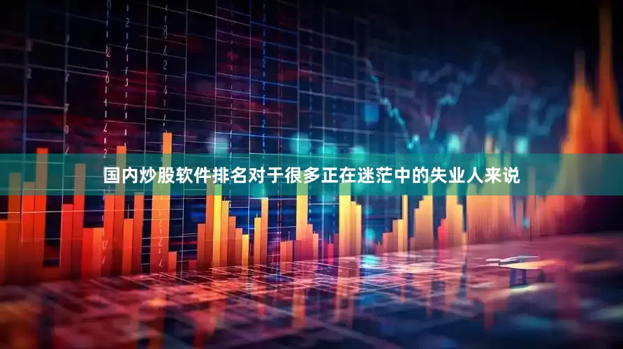 国内炒股软件排名对于很多正在迷茫中的失业人来说