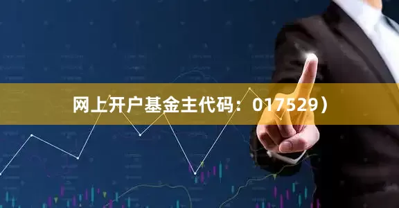 网上开户基金主代码：017529）