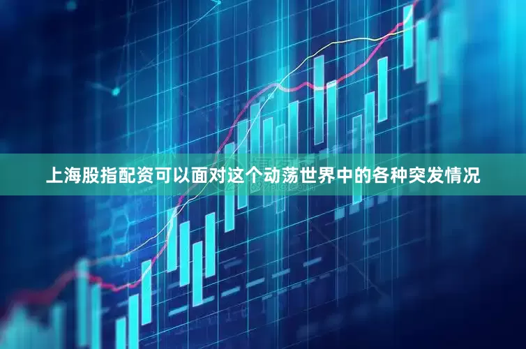 上海股指配资可以面对这个动荡世界中的各种突发情况
