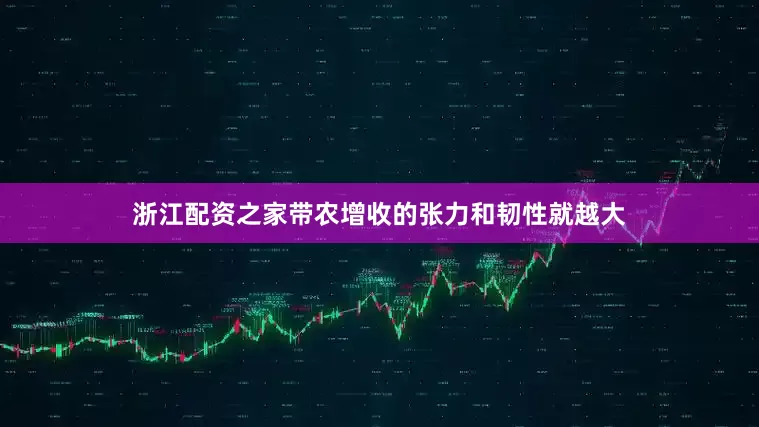 浙江配资之家带农增收的张力和韧性就越大