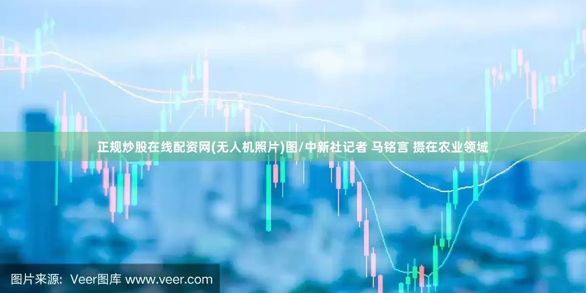 正规炒股在线配资网(无人机照片)图/中新社记者 马铭言 摄在农业领域